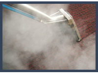 Steam Cleaning For Carpets